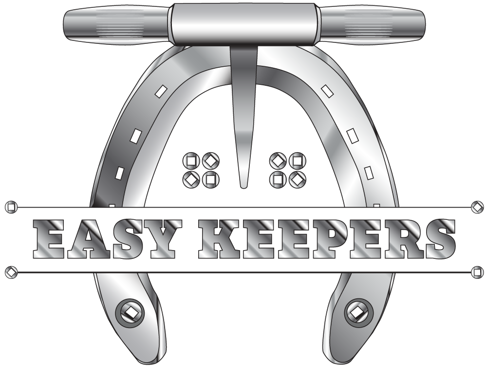 Easy Keepers Logo Chrome
